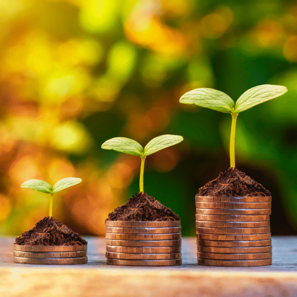 Aileniz Güvende, Siz Rahat Olun