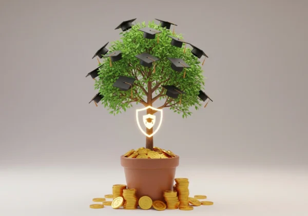 cocuk egitimi bes cocuk egitimi bes